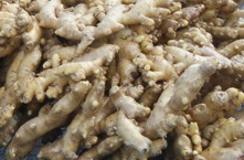 Ginger growers holding ginger